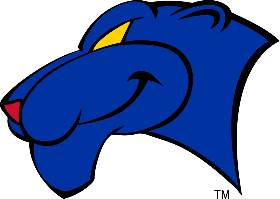 Georgia State Panthers 2002-2009 Secondary Logo v2 diy DTF decal sticker